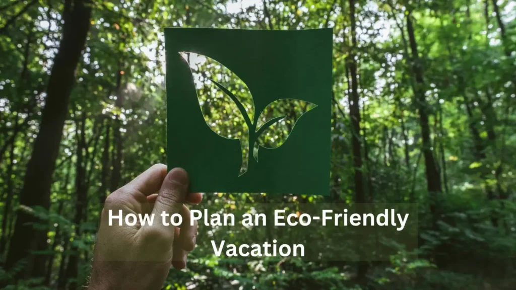 how-to-plan-an-eco-friendly-vacation